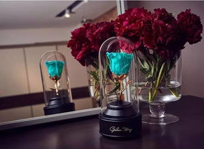 9折優(yōu)惠丨送她一份永不凋謝的英式花禮，讓陪伴再久一點