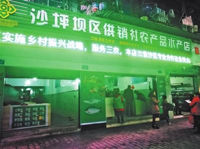 打通農產品流通最后一公里——沙區供銷社農產品水產、花卉店正式開業