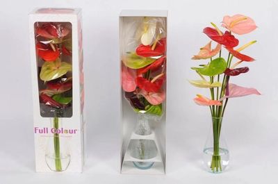 顏值與內涵并存——GET這份“崇明版”新年伴手禮清單，讓禮品花卉傳遞新春祝福