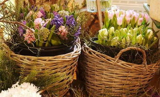 從街頭到世界 93年女孩的另類賣花路，年入400萬(wàn)，生意遍及40國(guó)