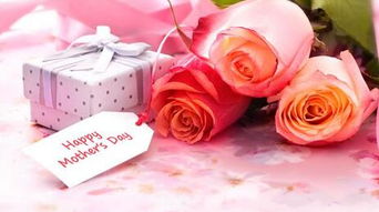 從情人節(jié)花卉消費(fèi)看禮品花卉市場(chǎng)的現(xiàn)狀與趨勢(shì)